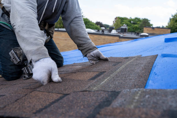 Best Storm Damage Roof Repair  in Lake Los Angeles, CA