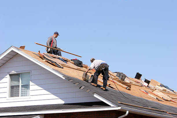 Best Solar Panel Roofing Installation  in Lake Los Angeles, CA